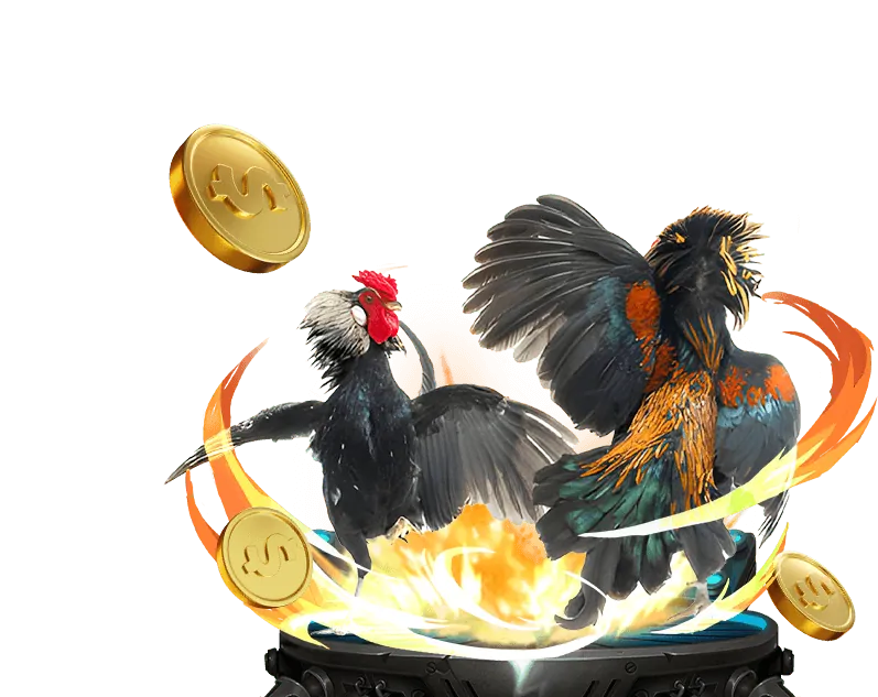 Mẹo chơi đá gà hiệu quả